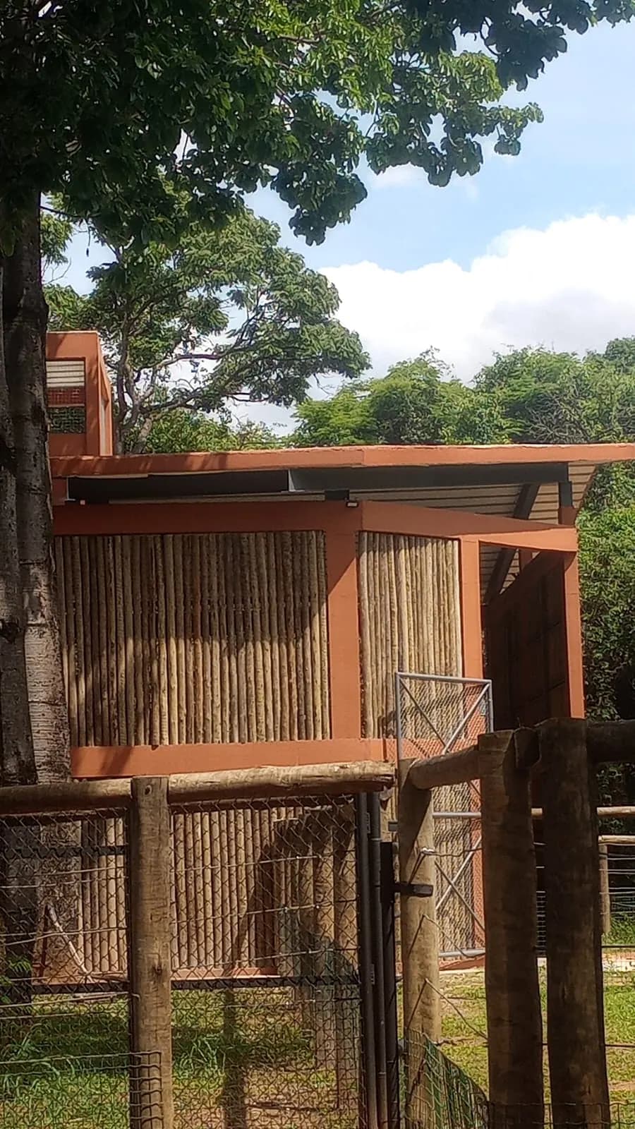 Fachada do recinto entre as árvores