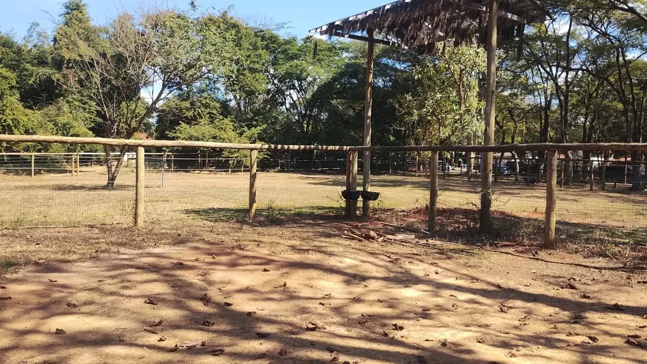 Vista geral do recinto após a intervenção