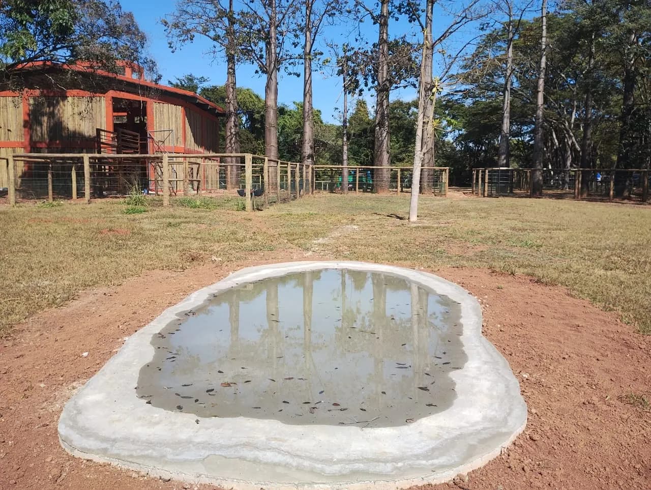 Área externa do recinto com vegetação